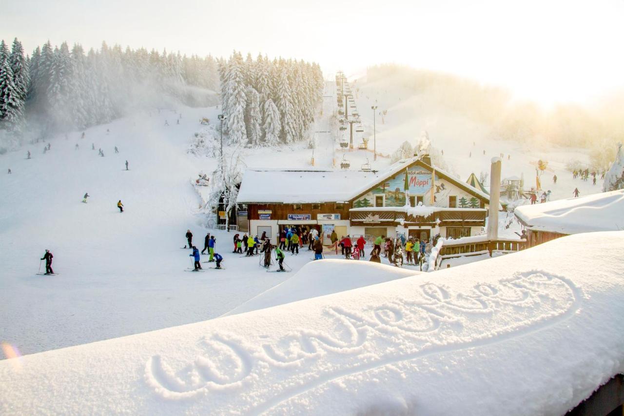 The Suite Winterberg Deluxe - Exklusive Ausstattung, Bestlage Zwischen Skikarussell Und Marktplatz, Eigener Garten, Ski- Und Fahrradraum, Ruhige Suedausrichtung, Wlan, Hundefreundlich Exteriör bild