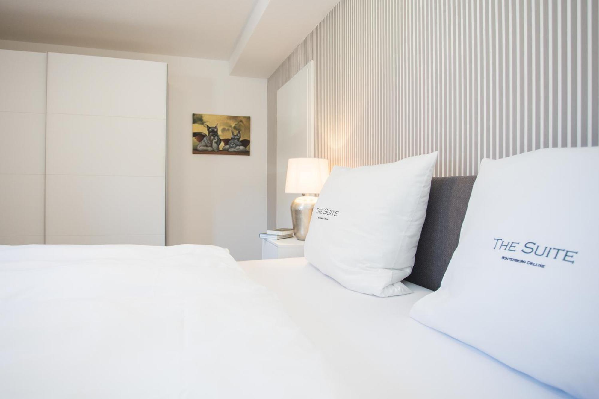 The Suite Winterberg Deluxe - Exklusive Ausstattung, Bestlage Zwischen Skikarussell Und Marktplatz, Eigener Garten, Ski- Und Fahrradraum, Ruhige Suedausrichtung, Wlan, Hundefreundlich Exteriör bild